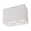 Arlight 023084(2) Светильник SP-CUBUS-S100x200-2x11W Warm3000 (WH, 40 deg, 230V) (Arlight, IP20 Металл, 3 года) 023084(2)