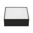 Arlight 034783 Светильник SP-QUADRO-S175x175-16W Warm3000 (BK, 120 deg, 230V) (Arlight, IP40 Металл, 3 года) 034783, изображение 4