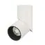 Arlight 025453(1) Светильник SP-TWIST-SURFACE-R70-12W Day4000 (WH-BK, 30 deg) (Arlight, IP40 Металл, 3 года) 025453(1), изображение 2