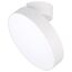 Arlight 028168 Светильник SP-RONDO-FLAP-R250-30W Day4000 (WH, 110 deg) (Arlight, IP40 Металл, 3 года) 028168, изображение 2
