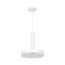Arlight 035928 Светильник SP-ERIC-R250-8W Day4000 (WH, 120 deg, 230V) (Arlight, IP20 Металл, 3 года) 035928, изображение 2