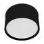 Arlight 043963 Светильник SP-CYLINDO-R160-18W Day4000 (BK, 110 deg, 230V) (Arlight, IP54 Металл, 3 года) 043963, изображение 2