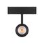Arlight 033087 Светильник MAG-SPOT-45-R65-18W Warm3000 (BK, 36 deg, 24V) (Arlight, IP20 Металл, 3 года) 033087, изображение 6