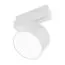 Arlight 048356 Светильник MAG-ORIENT-RONDO-R120-15W Day4000-MIX (WH, 110 deg, 48V, TUYA Zigbee) (Arlight, IP20 Металл, 5 лет) 048356