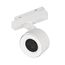 Arlight 048405 Светильник MAG-ORIENT-POINT-R80-12W Warm3000 (WH, 18 deg, 48V) (Arlight, IP20 Металл, 5 лет) 048405
