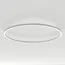 Arlight 034010(1) Светильник SP-LINE-HANG-ARC-O3535-D1500-124W Warm3000 (WHITE, 230V) (Arlight, Металл) 034010(1), изображение 2
