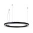 Arlight 049361 Светильник SP-CIRCLE-HANG-O3535-D600-35W Day4000 (RAL9005, 120 deg, 230V) IP40 LED (Arlight, Алюминий) 049361, изображение 2