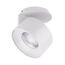 Arlight 030253 Модуль светодиодный PLURIO-LAMP-R77-9W Day4000 (WH, 36 deg, 2-2, 38V, 200mA) (Arlight, Металл) 030253, изображение 2