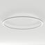 Arlight 034013(2) Светильник SP-LINE-HANG-ARC-O3535-D1500-124W Day4000 (WHITE, 230V) (Arlight, Металл) 034013(2)
