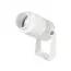 Arlight 042677 Светильник ALT-RAY-ZOOM-R52-8W Day4000 (WH, 10-40 deg, 230V) (Arlight, IP67 Металл, 3 года) 042677, изображение 9