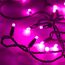 Arlight 025806 Светодиодная гирлянда ARD-STRING-CLASSIC-10000-BLACK-100LED-STD PINK (230V, 7W) (Ardecoled, IP65) 025806, изображение 4