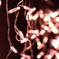 Arlight 031188 Светодиодная гирлянда ARD-EDGE-CLASSIC-2400x600-CLEAR-88LED-STD Rose Gold (230V, 6W) (Ardecoled, IP65) 031188