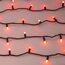 Arlight 031746 Светодиодная гирлянда ARD-STRING-CLASSIC-10000-BLACK-100LED-MILK-LIVE RGB-DMX (24V, 10W) (Ardecoled, IP65) 031746, изображение 3