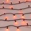 Arlight 031743 Светодиодная гирлянда ARD-STRING-CLASSIC-10000-BLACK-95LED-LIVE RGBW-DMX (24V, 10W) (Ardecoled, IP65) 031743, изображение 8