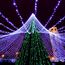 Arlight 025802 Светодиодная гирлянда ARD-STRING-CLASSIC-10000-BLACK-100LED-STD BLUE (230V, 7W) (Ardecoled, IP65) 025802, изображение 10