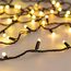 Arlight 028205 Светодиодная гирлянда ARD-STRING-CLASSIC-20000-BLACK-200LED-MILK-SYNC RGB (230V, 13W) (Ardecoled, IP65) 028205, изображение 9