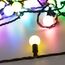 Arlight 025622 Светодиодная гирлянда ARD-BALL-PRO-D23-10000-BLACK-80LED RGB (230V, 7W) (Ardecoled, IP65) 025622