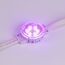 Arlight 036828 Модуль управляемый SPI-F6-D40 24V RGB-RAM-Auto (1,25W, IP68, 120 deg) (Arlight, Пластик, 3 года) 036828, изображение 8