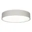 EVOLUCE SLE300512-01 Светильник потолочный Никель/Серый, Серебристый LED 1*50W 3000K/4000K/5000K, изображение 2