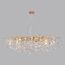 Odeon Light 4969/16; 1013925 Люстра, изображение 2