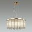Odeon Light 4788/10; 0043546 Люстра, изображение 2