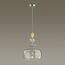 Odeon Light 4893/1A; 0044847 Подвес, изображение 2