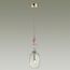 Odeon Light 4855/1B; 0043948 Подвес, изображение 2