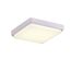 EVOLUCE SLE200212-01 Светильник потолочный Белый/Белый LED 1*20W 4000K