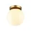 Odeon Light 4247/1C; 0043404 Потолочный накладной светильник
