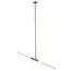 Odeon Light 4306/2; 0044348 Потолочный светильник