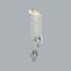 Odeon Light 5420/10WL; 0048684 Настенный светильник, изображение 2