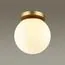 Odeon Light 4247/1C; 0043404 Потолочный накладной светильник, изображение 2