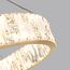 Odeon Light 5072/100L; 0047169 Люстра, изображение 6