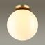 Odeon Light 4248/1C; 0043405 Потолочный накладной светильник, изображение 2