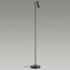 Odeon Light 6643/5FL; 0046247 Напольный светильник, изображение 2