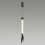 Odeon Light 4393/30L; 0046163 Подвесной светильник, изображение 2