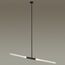 Odeon Light 4307/2; 0044351 Потолочный светильник, изображение 2