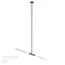 Odeon Light 4306/2; 0044348 Потолочный светильник, изображение 5
