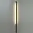Odeon Light 7006/100; 0047566 Настенный светильник, изображение 3
