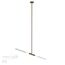 Odeon Light 4306/2; 0044348 Потолочный светильник, изображение 5