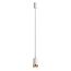 Odeon Light 4350/1C; 0045613 Потолочный светильник