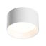 Odeon Light 6622/10CL; 0046173 Потолочный светильник