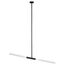 Odeon Light 4307/2; 0044351 Потолочный светильник