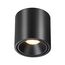 Odeon Light 6619/10CL; 0046170 Потолочный светильник