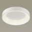Odeon Light 4062/50CL; 0039248 Светильник потолочный, изображение 2