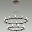 Odeon Light 5009/98L; 0045796 Люстра, изображение 2