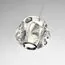 Odeon Light 5084/5L; 0047511 Подвес, изображение 5