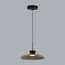 Odeon Light 5055/9L; 0047084 Подвес, изображение 2