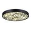 Odeon Light 5064/40L; 0047428 Настенно-потолочный светильник, изображение 5