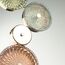 Odeon Light 5412/26WL; 0045927 Бра, изображение 5